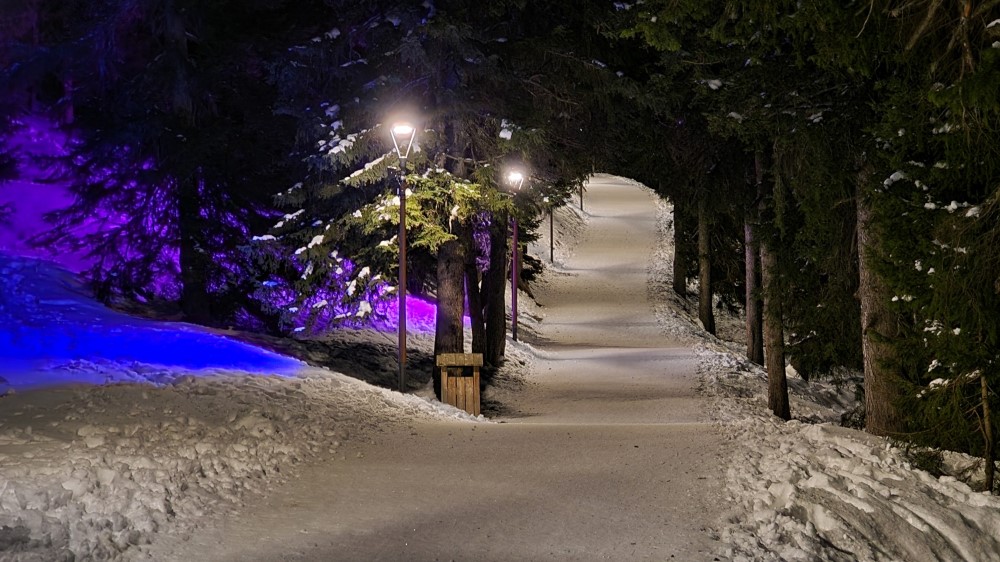 Chemin de la Forêt.